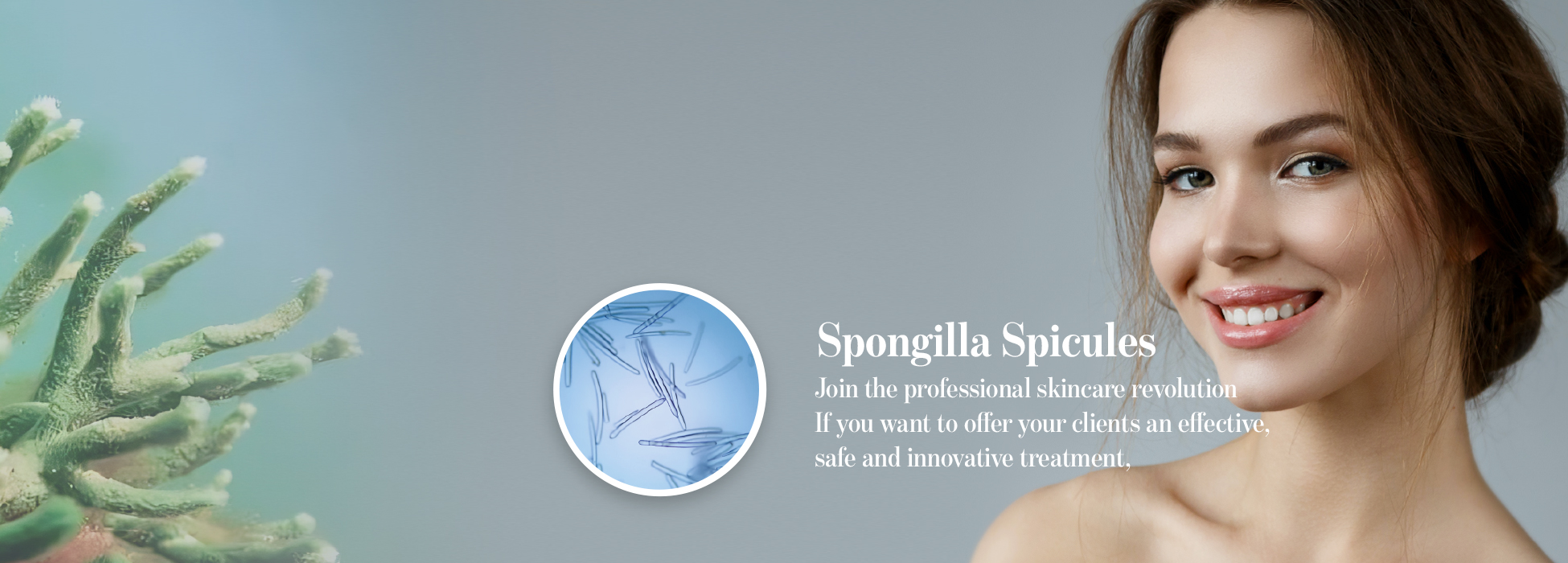 Mesotech Spongilla Spicules