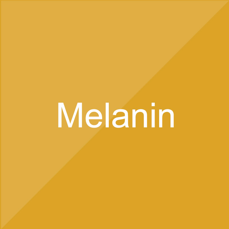 Global Peel Melanin Mesotech