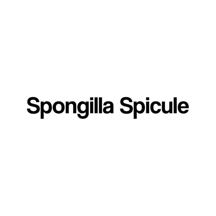 https://www.mesotech.it/brands/spongilla-spicule/